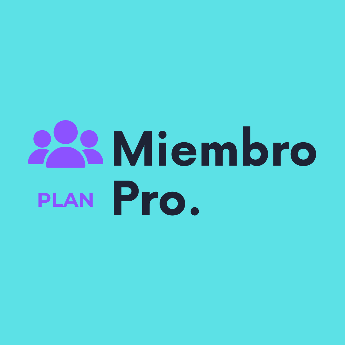 Plan Pro
