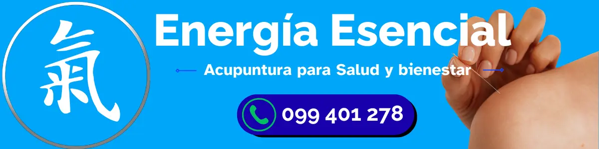 Energía Esencial Acupuntura